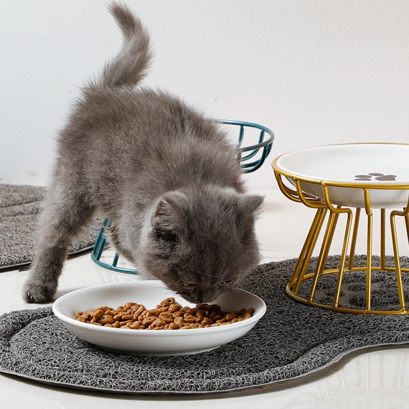 Food Snacks To Eat - 2024 New Pet Ceramic Bowl Iron
