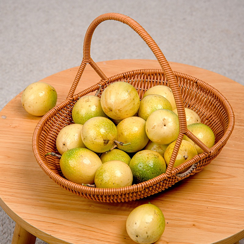 Plastic Imitation Rattan Woven - Food And Snacks For Picnic review and price